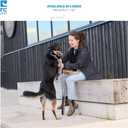 RC Pets 5/8 Inch Adjustable Dog Clip Collar, X-Small, Urban Woodsman