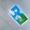 Flu0rescent Light Cover Decorative Ceiling Light Filters, Tree Leaves Sky Clouds Pattern, for Classroom Office Hospitals Home Ceiling Decorative,2ft x 4ft,Green
