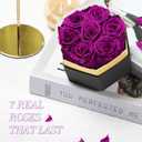 Casaido Preserved Roses Flowers for Delivery 7 Pcs, Mothers Day Rose Gifts for Her, Forever Flores in Box with Necklace, Anniversary Vanlentines Christmas Birthday Gift for Mom Wife Girlfriend, Purple