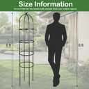 2 Pack 6 Ft Heavy Duty Metal Garden Obelisk Trellis for Climbing Plants, RustResistant Black Steel Vine Support for Rose Clematis Jasmine, Potted Flower Stand Indoor & Outdoor Decor (Bird)