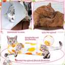 Nuanchu 2 Pieces Cat Recovery Suit Kitten Recovery Suit E-Collar Alternative for Cats and Dogs Abdominal Skin Anti Licking Pajama Clothes Sets(Small,Fruit Style,Colorful)
