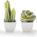 Artificial Mini Succulent & Cactus Plants in White Cube-Shaped Pots for Home Decor, Set of 4