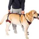 COODEO Mobility Dog Lift Harness, Support Sling for Dog, Dog Walking Sling, Pet Rear Leg Support Rehabilitation Lifts Vest, Dog Carrier for Senior Dogs with Arthritis, Up Stair (Red, M)