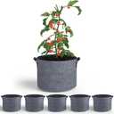 5-Pack Grow Bags 1 Gallon Thickened Plant Grow Bags Multi-Purpose Nonwoven Fabric Pots with Durable Handles, Outdoor Garden Plant Pots for Fruits Vegetables Flowers Herb Bonsai Plants, Gray