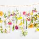 Suncalla 5.6 ft Wildflowers Hanging Garlands with LED Lights Artificial Flower Wall Decor Fake Rustic Floral Vines Rose Eucalyptus Daisy Backdrop Set for Ceiling Farmhouse Wedding Home Garden(Fresh)