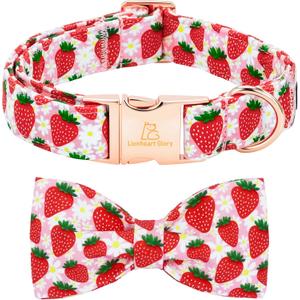 Lionheart Glory Dog Bow Collar - Dog Collar with Bowtie Soft Adjustable Dogs Spring Strawberry Flowers Print Collars Male Female Cute Collars for X-Small Dogs Bows