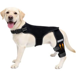 ALYBIT Dog Knee Braces for Torn ACL Hind Leg, Adjustable Dog Leg Braces for Back Leg with 4 Stabilizers for Luxating Patella Relieves Ligament Injury and Joint Pain