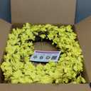 Yellow Forsythia Door Wreath Huashen 24 Inch Spring Summer Front Door Wreath Blossom Cluster Flower Farmhouse on Grapevine for Christmas Celebration Wall Window Decoration Hanging