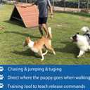 Interactive Flirt Pole Toy for Dogs Chase and Tug of War, Durable Teaser Wand with Pet Fleece Rope Tether Lure Toy to Outdoor Exercise & Training for Small Medium Large Dogs (Blue/Red, POLE-35 inches)