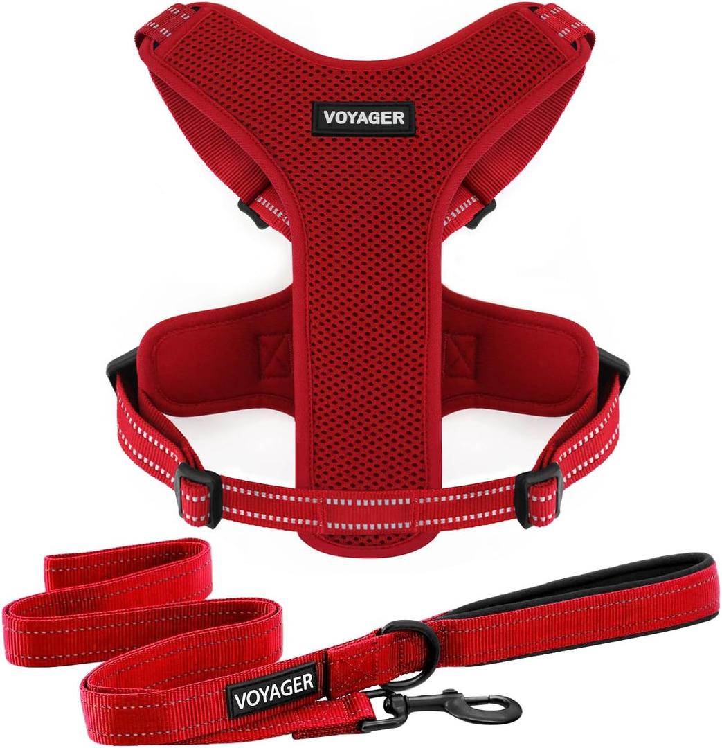 Air Frontier Mesh Dog Harness with and Reflective Dog Leash Set, Reflective Stitching, and Lightweight Breathable No-Pull Design, Adjustable Neck and Chest Straps for Small to Large Breeds - RDW, L