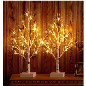 Hairui Pre-lit Tabletop Birch Tree with Timer 24LED 18IN Battery Operated for Christmas Father's Day Party Decoration, 2 Sets