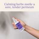 Lansinoh Herbal Perineal Spray, Postpartum Essentials, 3.5 Ounces