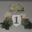 Wild One High Chair Banner For 1st Birthday Party Boy Decorations With Green Tassel Garland Crown Hat Cake Topper