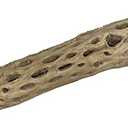 Awesome Aquatic 12 inch 2-3” Thick XL Teddy Bear/Chain Fruit/Buckhorn/Staghorn Cholla Wood Hollow Tube Wood Cactus Skeleton Tubes 12” x 2-3” Thick/Diameter (12 in x 2-3 in Diameter)