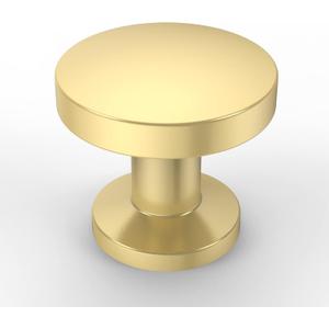 Asidrama 10 Pack Gold Zinc Cabinet Knobs for Dresser Drawers