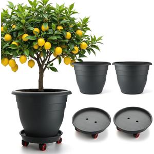 RooTrimmer 3 Pack 16 Inch Rolling Large Plant Pots