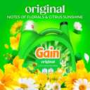 Gain Liquid Laundry Detergent, Freshness, Odor Defense, High Efficiency Washing Machine Liquid Laundry Soap, Original Scent, 132 fl oz, 100 Loads