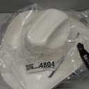 Twister Men's Painted Bangora Maverick Cowboy Hat (7 1/2, Natural)