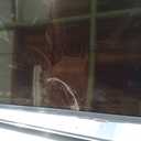 Samsung 55-Inch Class Crystal UHD U8000F 4K Smart TV (2025 Model) Endless Free Content, Crystal Processor 4K, MetalStream Design, Knox Security, Compatible with Alexa