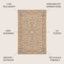 JONATHAN Y Vintage Filigree Indoor Outdoor Area Rug 3X5 Beige/Brown, Charleston Textured Weave for Backyard, Patio, Porch, Easy-Cleaning, High Traffic, Pet-Friendly, Non-Shedding (SMB106A-3)