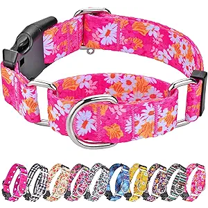Hikiko Martingale Collar for Dogs Peach Dog Collar for Small Medium Large Dogs Cute Holiday Summer Dog Collars Pet Gift (Flowers,Large)