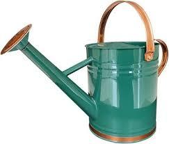 Watering Can for Outdoor Plants&Indoor Plants,Plant Watering Pot 1 Gallon,Metal Flower Garden Water Can Watering Pot,Galvanized Steel Watering Can Outdoor(Green)