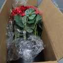 GLIDLION 2 Pack Artificial Geranium Flowers Topitary Trees for Outdoors, UV Resistant Geraniums Potted Bushes Look Real Silk Faux Plants for Front Door Garden Porch Planter Farmhouse Home Decor (Red)