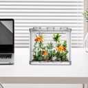 4PCS Plastic Small Betta Fish Tank, 0.6 Gallon Stackable Fish Bowl, Cube Fish Aquarium Tank for Shrimp, Turtle, Small Crab (Clear)