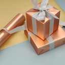 BIOBROWN Christmas Wrapping Paper Jumbo Roll with Trim Ribbon 30 Inch X 40 Feet (100 sq. ft. ttl.) Matte Champagne Design Perfect for Christmas, Party, Xmas, Holiday Gift Wrap