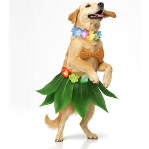 3 Pcs Halloween Dog Hawaiian Luau Costume Includes Hula Dress Bikini Top Flower Lei Boho Neck for Small Medium Dogs Puppy Outfit Pet Accessories Halloween Cosplay Supply