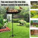 HRAYLTOP Standing Bird Feeder Bowl with 29.1 inch Iron Stand - Detachable Outdoor Decor for Garden Backyard Patio and Deck - Perfect for Attracting Birds