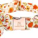 Lionheart Premium Dog Collar - Heavy Duty, Adjustable, Flower Pattern with Bow Tie for Medium Dogs (Medium (Pack of 1, Pumpkin and flower)