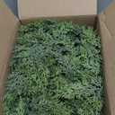 Christmas Garland Real Touch Cedar Garland Christmas Decorations 6 ft Soft and Lush Realistic Faux Pine Garlands for Mantle, Table, Stairs, Doorframe, Fireplace Indoor Outdoor Holiday Decorations