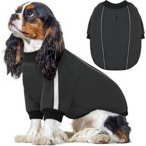 Queenmore Fleece Dog Sweater for Male Dogs, Soft Pullover Dog Sweatshirt with Leash Hole/Reflective Stripes – Cozy Winter Fleece Jacket for Small Medium Large Boy Puppy, Grey XS