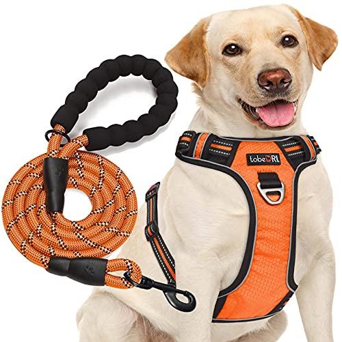 No Pull Dog Harness Adjustable Reflective Oxford Easy Control Medium Large Dog Harness with A Free Heavy Duty 5ft Dog Leash, M