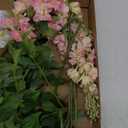 Pink Silk Delphinium Flowers Combo Clematis Greenery 8pcs Long Stem Pink Fake Larkspur Flowers Floral Arrangements for Tall Vase Table Party Home Decor