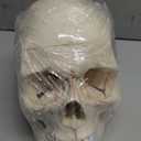 QWORK Human Skull and Brain Anatomy Model, 11 Parts, Life Size, Numbered, Anatomically Accurate, for Science Teaching Learning