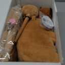 Capybara Gifts for Girls, Kids Capybara Plush Toys Set with Capybara Stuffed Animal, Secret Diary, Ballpoint Pen, Stickers, Birthday Gifts for Little Girls Age 5 6 7 8 9 10-12 Years Old