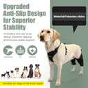 Dog Knee Brace for Torn Acl Hind Leg for Support with Cruciate Ligament Injury, luxating Patella,Arthritis,Dog Acl Knee Brace with Metal Splint Hinged Support for CCL Luxating Patella