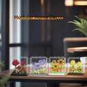 ZvveIIa Flower in A Box-DIY Building Blocks for Adults, Eternal Rose Bonsai with Display Case, Home & Office Decor, Adult Relaxing DIY, Creative Architecture Model Kit