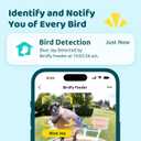 NETVUE by Birdfy Smart Bird Feeder with 2K AI Camera Solar Powered, 3MP Wireless Wildbird Watching, Live Stream & Night Vision, Auto-Capture & Notify, Collection & Cloud Storage (AI by Subscription) (Yellow)