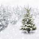 Allenjoy 8x8ft Fabric Christmas Eve Winter Snowy Backdrop Party Supplies for Xmas New Year Decorations Children 1st First Birthday Baby Shower Photo Booth Shoot Studio Portrait Prop Photoshoot Favors