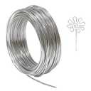 Tenn Well 12 Gauge Aluminum Wire, 100 Feet 2mm Bendable Metal Craft Wire for Sculpting, Armature, Jewelry Making, Floral Making, Doll Making, Modelling, Crafting, Bonsai Training (Silver)