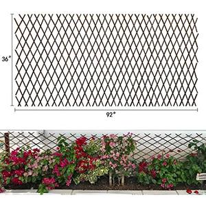 Expandable Garden Trellis Plant Support Willow Lattice Fence Panel for Climbing Plants Vine Ivy Rose Cucumbers Clematis