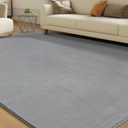 Solid Washable Area Rug - 5x7 Medium Pile Faux Cashmere Carpet for Living Room Bedroom, Grey