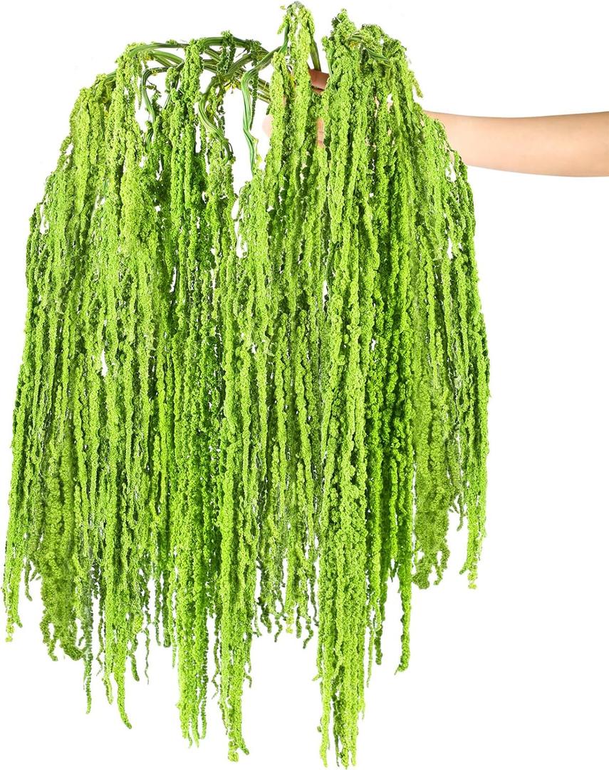 Suncalla 12 Pcs Green Spring Natural Dried Amaranthus Hanging Flowers Amaranthus Artificial Flowers for Wedding Arch Bouquet Floral Garland Wall Home Decoration (23 Inch)