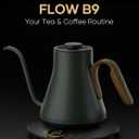 Cocinare Gooseneck Electric Kettle, 1F Temperature Control, 1500W Fast Heating, Pour Over Coffee & Tea Kettle with Brew Timer & Keep Warm, Stainless Steel, 0.9L (Delacroix Green)
