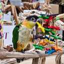 Birds LOVE Wood Stars & Leather Toy for Bird Cage Stand or Playgym, Bird Toys for Small to Medium Parrots, Sun Conures, Green Cheeked Conures, Quakers, Parakeets, Caiques, Cockatiels, African Senegals