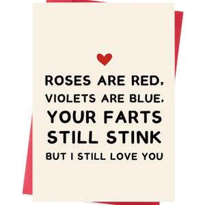 2 x Funny Valentines Day Card  Great Valentines Day Gifts for Him Boyfriend or Husband (SK-033)