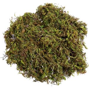 VOSAREA 1 Pack Artificial Moss Fake Lichen Simulation Green Faux Pot Moss for DIY Miniature House (About 60g)
